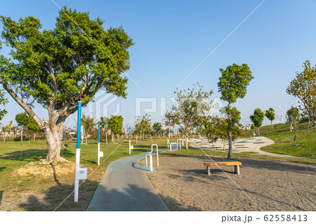 台中中央公園　水湳經貿園區　台中市　台湾　二番目に大きい公園　in Taiwan Taichung 62558413