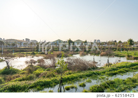 台中中央公園 水湳經貿園區 台中市 台湾 二番目に大きい公園 in Taiwan Taichung 台中中央公園 水湳經貿園區 台中市 台湾 二番目に大きい公園 in Taiwan Taichung 62558425