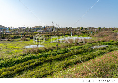 台中中央公園　水湳經貿園區　台中市　台湾　二番目に大きい公園　in Taiwan Taichung 62558437