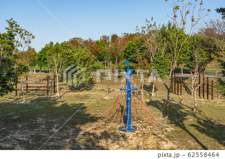 台中中央公園　水湳經貿園區　台中市　台湾　二番目に大きい公園　in Taiwan Taichung 62558464