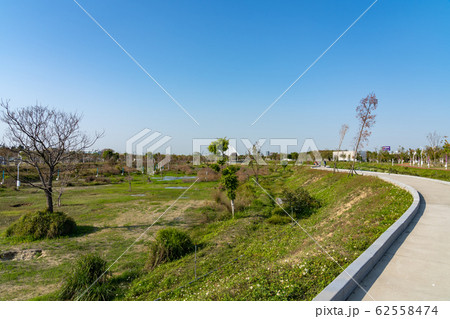 台中中央公園　水湳經貿園區　台中市　台湾　二番目に大きい公園　in Taiwan Taichung 62558474