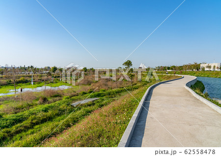 台中中央公園　水湳經貿園區　台中市　台湾　二番目に大きい公園　in Taiwan Taichung 62558478