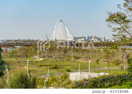 台中中央公園　水湳經貿園區　台中市　台湾　二番目に大きい公園　in Taiwan Taichung 62558486