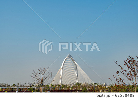 台中中央公園　水湳經貿園區　台中市　台湾　二番目に大きい公園　in Taiwan Taichung 62558488