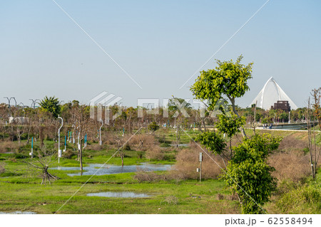 台中中央公園　水湳經貿園區　台中市　台湾　二番目に大きい公園　in Taiwan Taichung 62558494