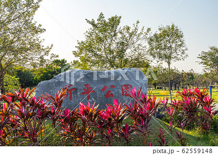 新平公園　水湳経貿園区　台中市　台湾 62559148