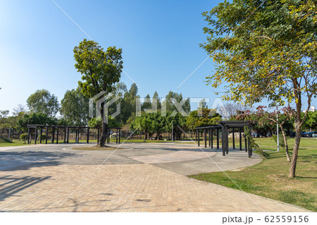 新平公園　水湳経貿園区　台中市　台湾 62559156