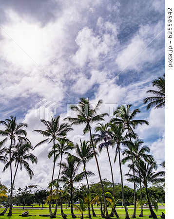ハワイ ハワイ島 ヒロ ワイロア・リバー州立公園 62559542