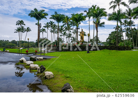 ハワイ ハワイ島 ヒロ ワイロア リバー州立公園の写真素材