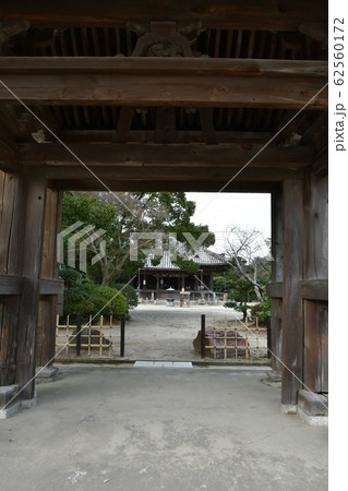 野間大坊 本殿 鐘楼堂 巡拝路 大門 悠紀殿 野間大坊 本殿 鐘楼堂 巡拝路 大門 悠紀殿 62560172