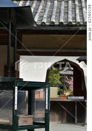 野間大坊 本殿 鐘楼堂 巡拝路 大門 悠紀殿 野間大坊 本殿 鐘楼堂 巡拝路 大門 悠紀殿 62560198