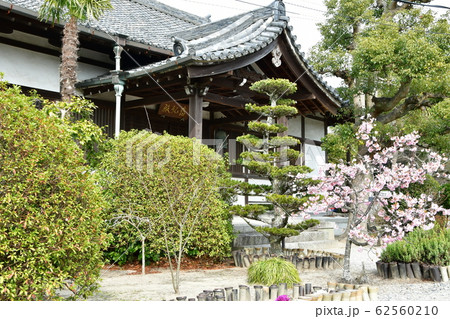 野間大坊 本殿 鐘楼堂 巡拝路 大門 悠紀殿 野間大坊 本殿 鐘楼堂 巡拝路 大門 悠紀殿 62560210