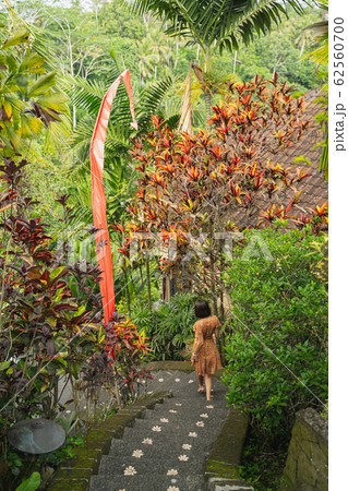View of exotic landscape in jungles stock photo 62560700