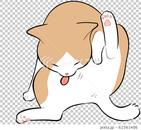 猫　毛づくろい くろねこごま毛づくろい 250720 - YouTube