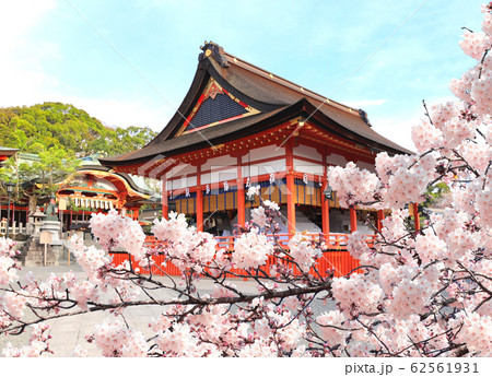 Ancient pavilion and blooming sakura in Fushimi 62561931