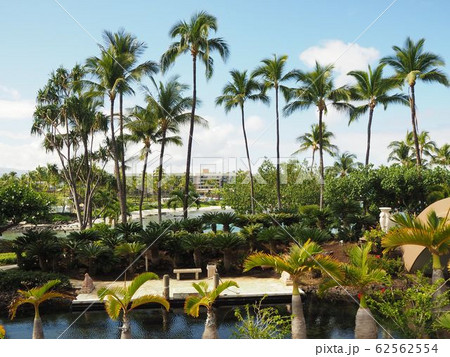 ハワイ島　リゾート 62562554
