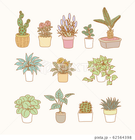 Pot plants collection in line style 62564398