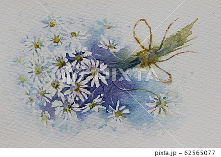 マトリカリア 花 のイラスト素材