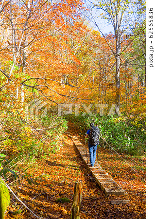 秋の火打山登山 62565836