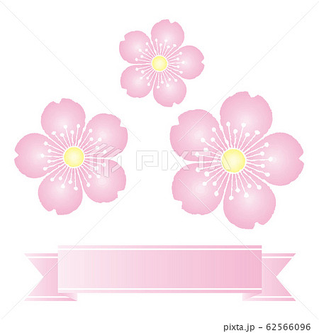 桜の花 背景素材 フレーム イラスト ベクターのイラスト素材