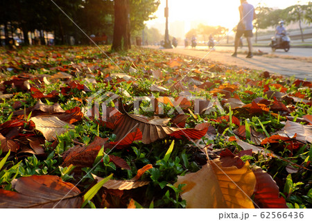 man do exercise by walk on pavement warm sunlight ray at Ho Chi Minh city, Vietnam man do exercise by walk on pavement warm sunlight ray at Ho Chi Minh city, Vietnam 62566436