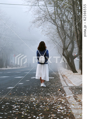 early morning with girl standing, looking forward in fog, foggy street with petal from row of white flower, Da Lat, Viet Nam early morning with girl standing, looking forward in fog, foggy street with petal from row of white flower, Da Lat, Viet Nam 62566555