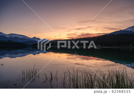 Patricia lake with mountain range and pine forest 62568535