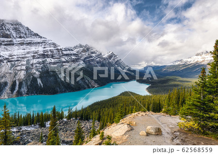 Peyto lake resemble of fox in Banff national park Peyto lake resemble of fox in Banff national park 62568559