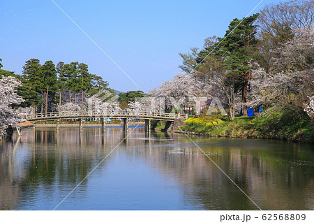高田城の桜 62568809