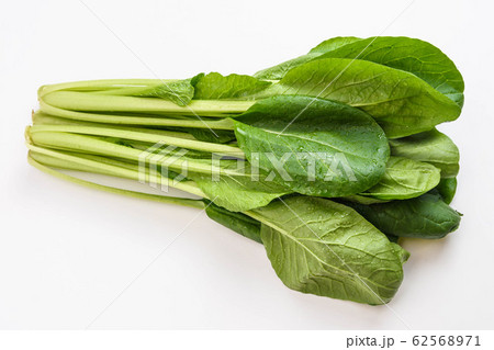 冬野菜　小松菜 62568971