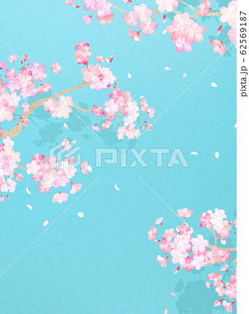 背景 和 和紙 和風 和柄 春 桜 枝 青空のイラスト素材