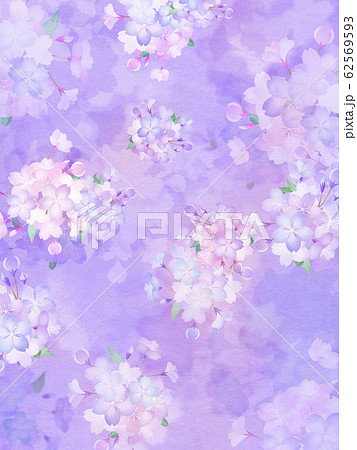 背景 和 和紙 和風 和柄 春 桜 紫のイラスト素材