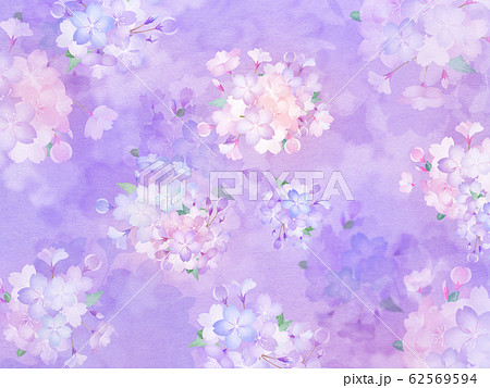 背景 和 和紙 和風 和柄 春 桜 紫のイラスト素材