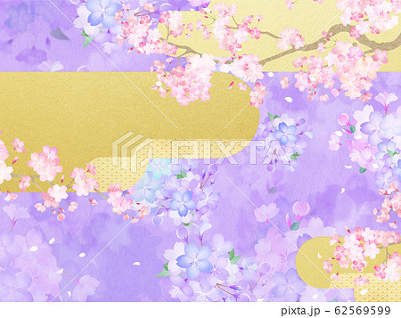 背景 和 和紙 和風 和柄 春 桜 紫 金 日本のイラスト素材