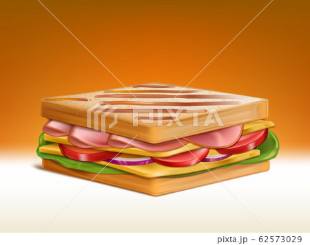Sandwich with meat, cheese and vegetables Sandwich with meat, cheese and vegetables 62573029