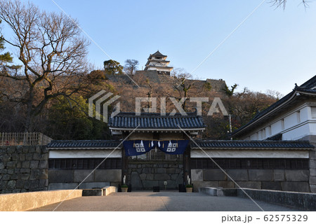 丸亀城　大手門と現存天守 62575329