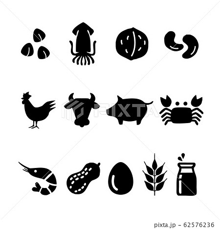 食物アレルギー アレルゲン表示 アイコンセット（モノクロ・シルエット） 62576236