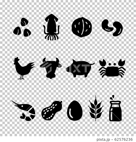 Food allergy icon 62576236