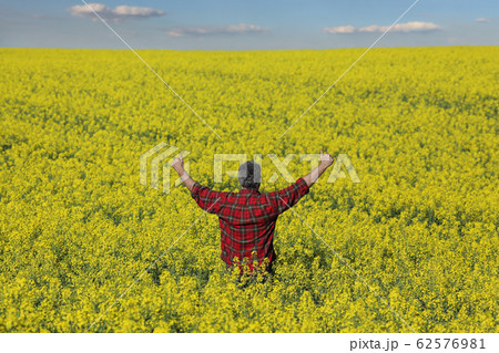Farmer gesturing in blossoming rapeseed field Farmer gesturing in blossoming rapeseed field 62576981