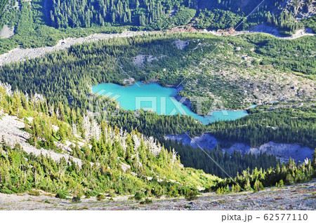 マウントレニエ国立公園 Mount Rainier National Park マウントレニエ国立公園 Mount Rainier National Park 62577110