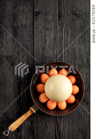 Ostrich egg, selective focuse, surrounded  62579289
