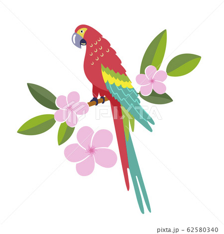 Parrot sits on a branch with flowers 62580340