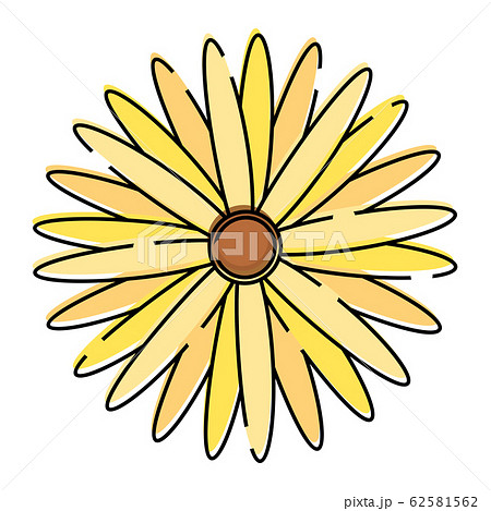 Isolated beatiful flower icon Isolated beatiful flower icon 62581562
