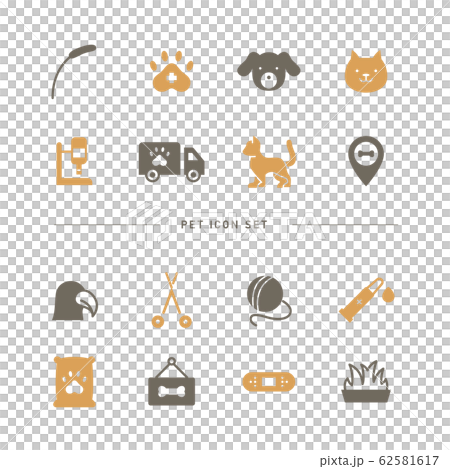 pet, pets, icon 62581617