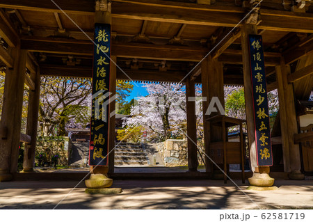金山功山寺と桜 金山功山寺と桜 62581719
