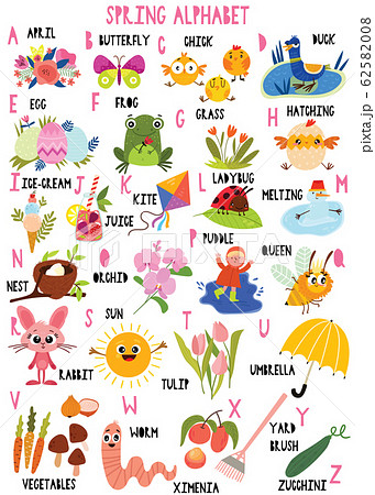 Stylish spring alphabet in vector. Lovely animals and items. Best abc-poster in a colorful style for children education and language study. 62582008