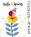 Hello spring. Greeting card with cute cartoon ladybug and flowers. Use for spring season cards, greeting or for social media. 62582011