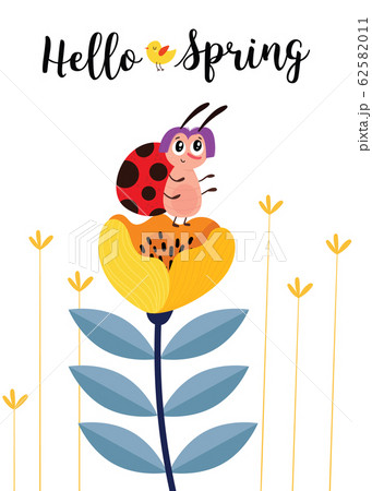 Hello spring. Greeting card with cute cartoon ladybug and flowers. Use for spring season cards, greeting or for social media. 62582011