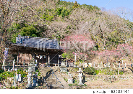 高尾山　明治の森　高尾山口駅側の氷川神社 62582444