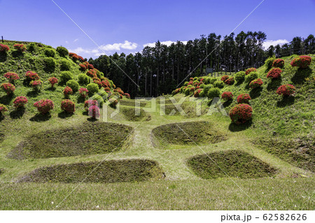 【静岡県】障子堀が美しい、初夏の山中城址公園 62582626